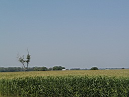 White River in Arkansas 159.jpg